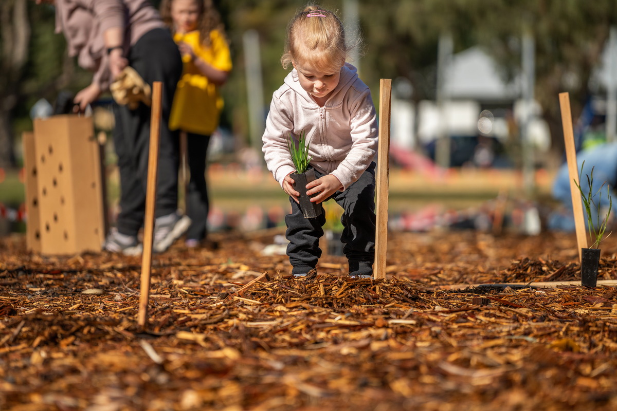 Young girl planting a seedling in a reserve